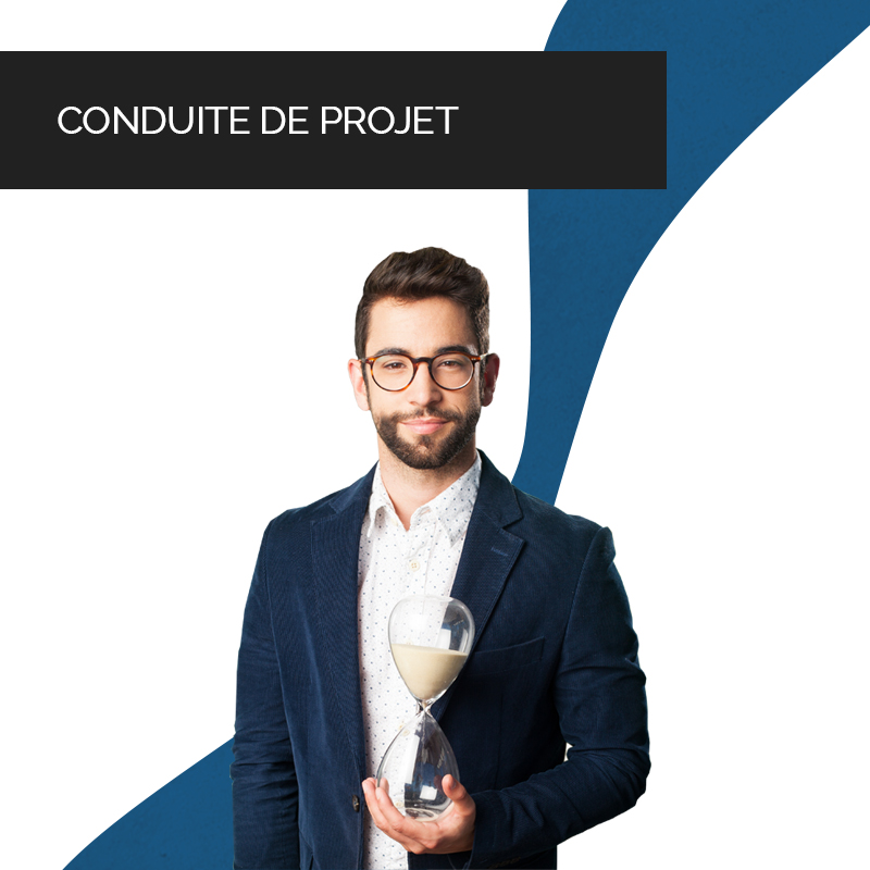 Porgys - conduite de projet - AMOA - DSI externalisée